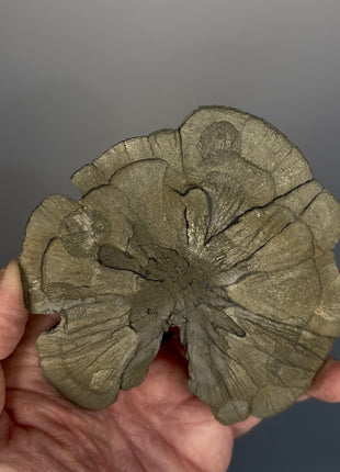 Pyrite Sun - From Sparta, Illinois