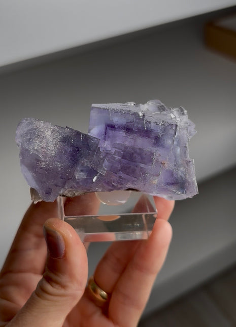 Blue Fluorite from La Viesca mine Collection # 730