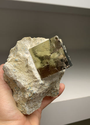 New ! Cubic Pyrite on Matrix from Navajun, Spain