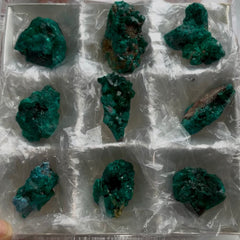 Collection image for: Dioptase