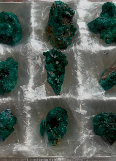 9 Piece Lot !  Green Dioptase Specimens