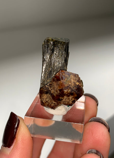 New Arrival ! Red Garnet var. Andradite with Glossy Epidote - From Mali DWS