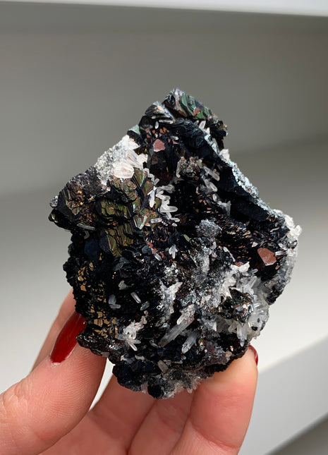 Iridescent Reddish Hematite with Quartz 🌈 From Elba Island, Italy