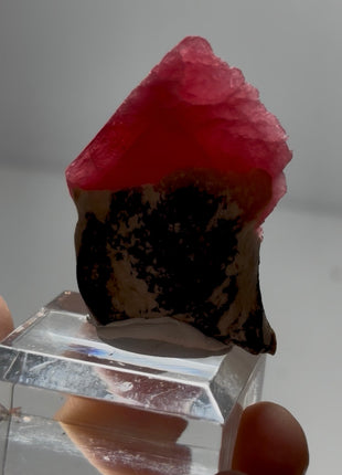Rare ! Red Rhodonite Collection # 686