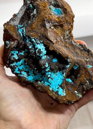 Blue Aurichalcite Geode Specimen PM1205