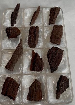 12 Pieces ! Permineralized Fossil Wood Fairy Wood Lot