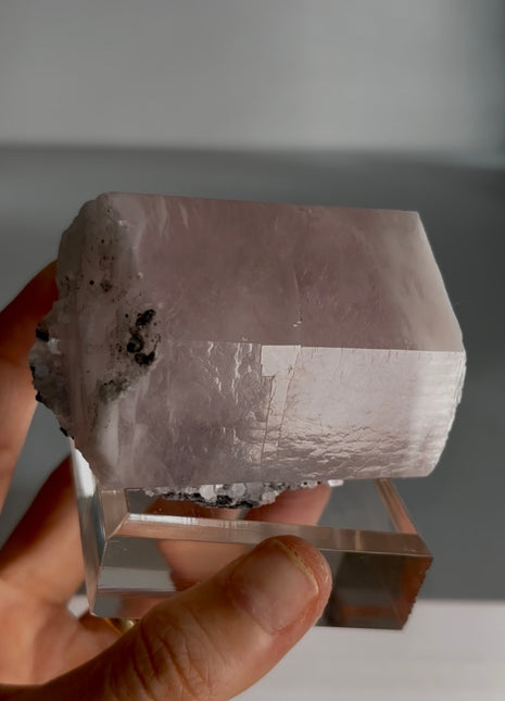 New find ! Pink Barrel Calcite PM312