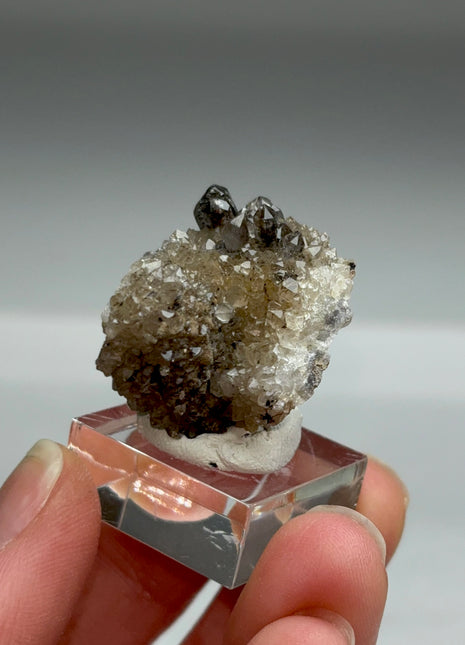 Rare Black Herkimer from New York