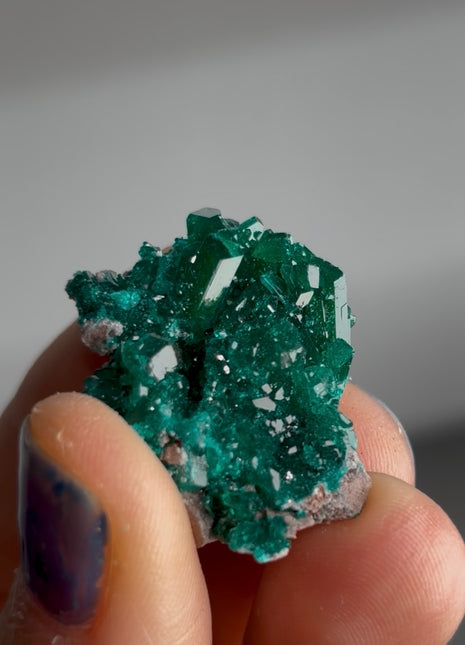 Green Dioptase Specimen PM1641