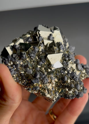 Very High Grade Octahedral Pyrite PM1437