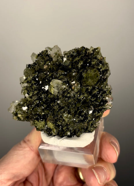 Forest Green Epidote with Quartz