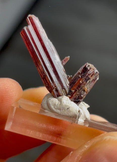 Red Rutile from Diamantina mine, 1990s find PM0849