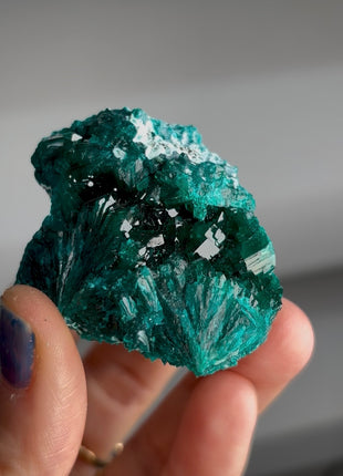 Green Dioptase Specimen PM1632