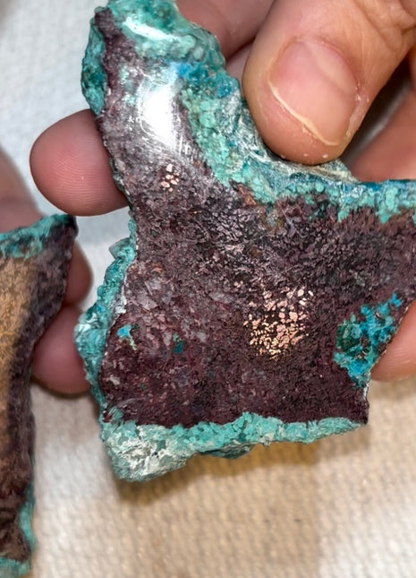 Stunning  ! Blue Chrysocolla with Native Copper Pair