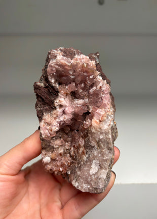 Pink Cobaltocalcite Geode - From Oumlil mine, Morocco