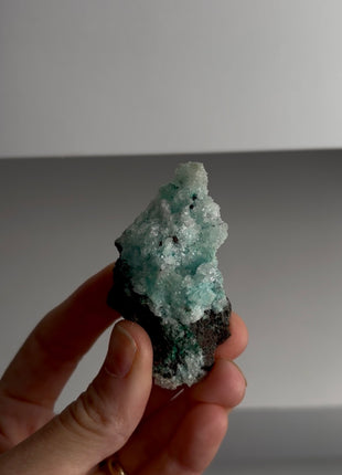 Caribbean Blue Aragonite