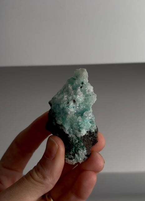 Caribbean Blue Aragonite