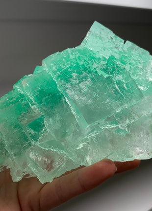 Cubic Green Halite with Atacamite inclusions - From Lubin mine, Poland