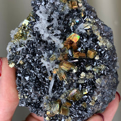 Collection image for: Bulgarian Pyrite