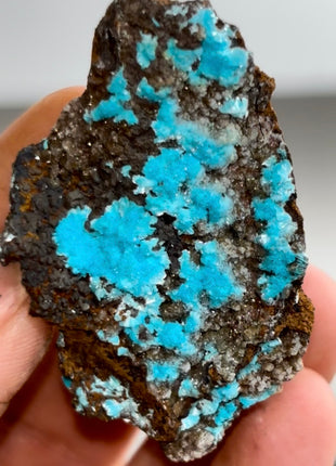 Blue Aurichalcite Flowers PM1208