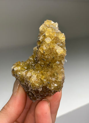 Cubic Yellow Fluorite with Pyrite - From Spain