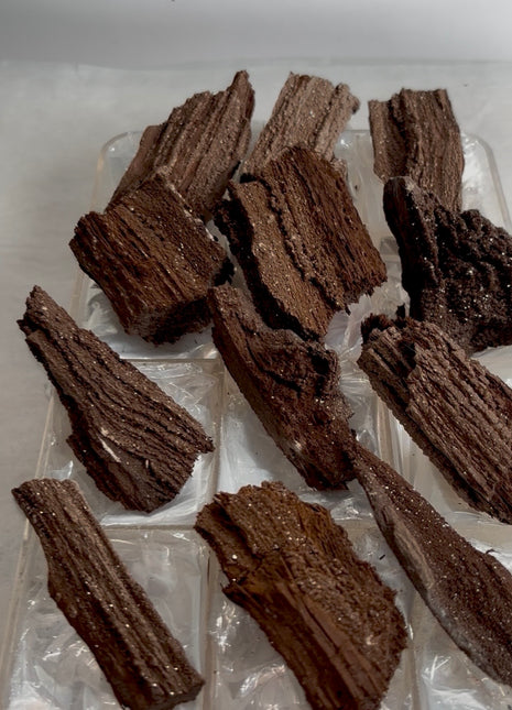 12 Pieces ! Permineralized Fossil Wood Fairy Wood Lot