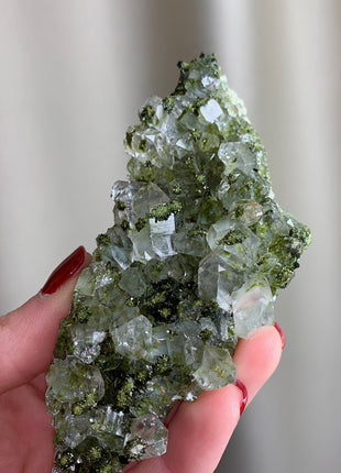 Forest Epidote with Quartz  🌲