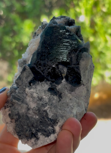 Blue Riebeckite with Quartz PM1562