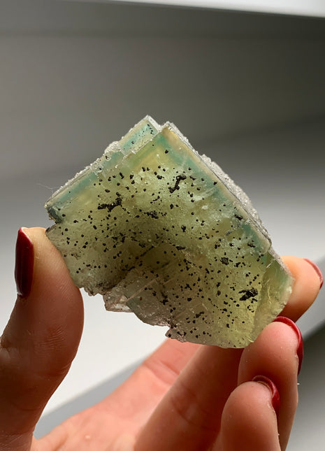 Zoning Yellow Green Fluorite with Pyrite # PM0143