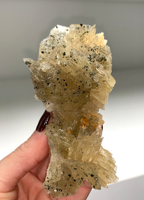 Yellow Barite Flower with Chalcopyrite