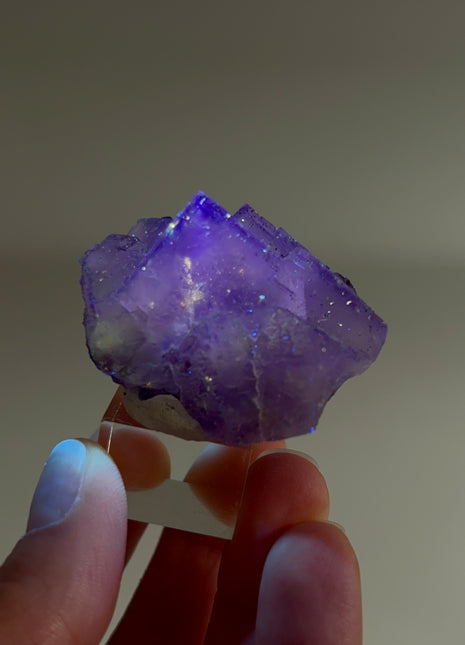 New Arrival ! Galaxy Fluorite