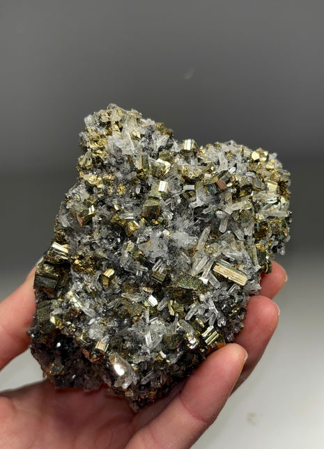 High Grade Pyrite with Quartz