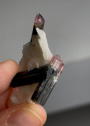 Pink Cap Tourmaline with Muscovite PM0678