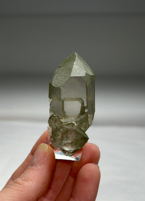 Green Chlorite Quartz - From Chamonix, French Alps