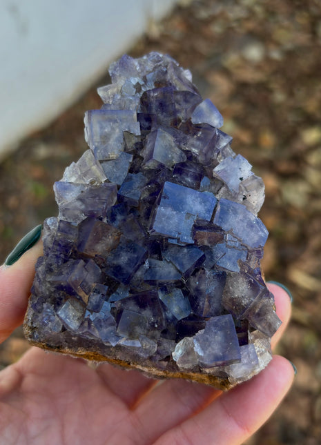 Color Change Fluorite from Weardale, England