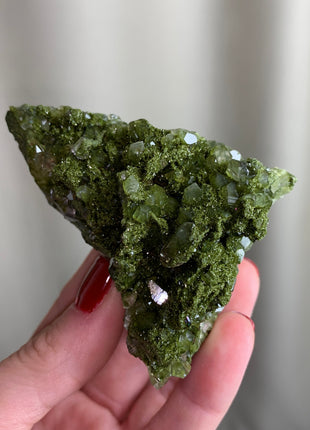 Forest Epidote with Quartz  🌲