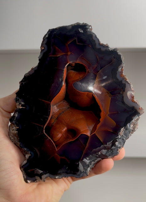 Red Fox Agate Geode from Argentina