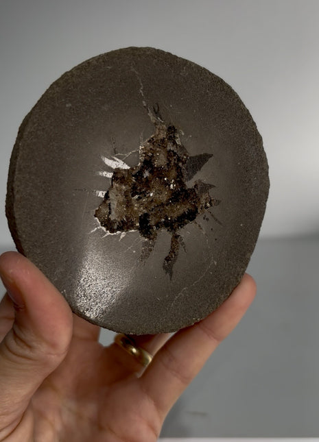 Septarian Barite Geode from France