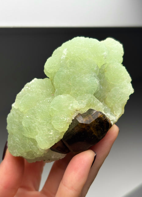 Andradite Garnet perching through Green Prehnite Collection # 284