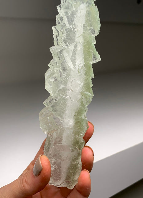 Stunning Green Halite Stalactite
 - From Lubin mine, Poland