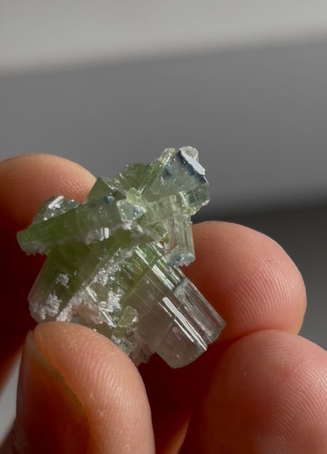 Blue Tip Tourmaline PM0675