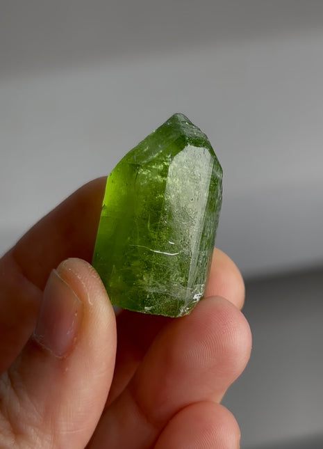 Gemmy Green Peridot PM0258