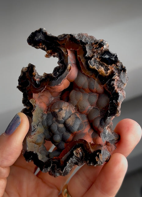 Silvery ! Red Fox Agate Geode from Argentina PM1539