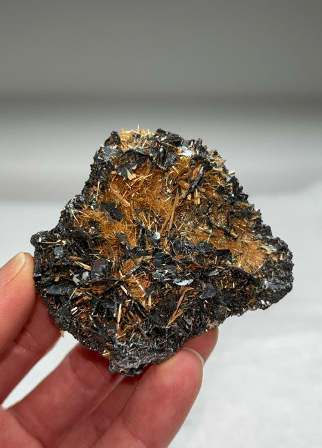 Golden Rutile with Metallic Hematite