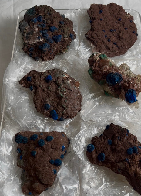 6 Piece Lot ! Rare Blueberry Azurite Specimens