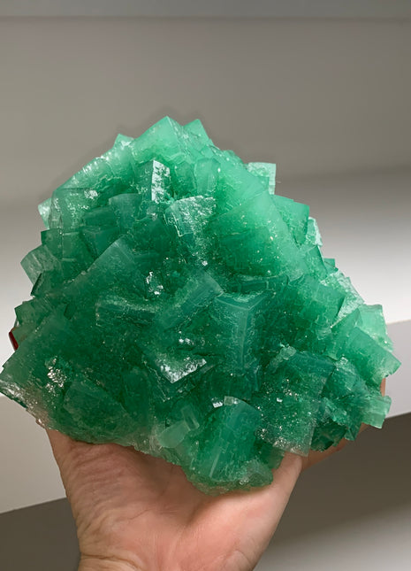 Top ! Green Cubic Halite - From Lubin mine, Poland