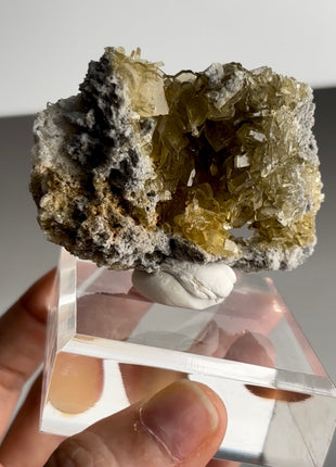 New find ! Golden Barite Specimen PM0432