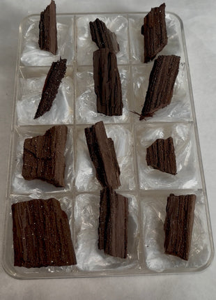 12 Pieces ! Permineralized Fossil Wood Fairy Wood Lot