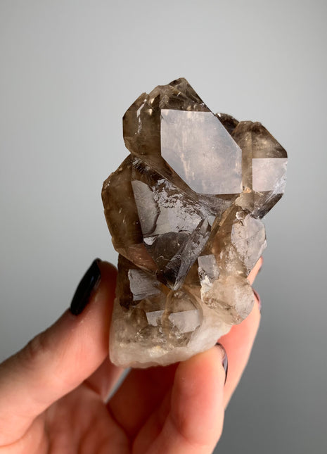 Elestial Smoky Quartz on White Quartz - From Namibia