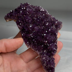 Collection image for: Alacam Amethyst